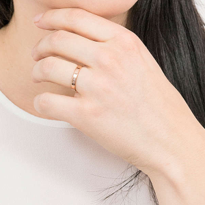 ANEL DANIEL WELLINGTON, AÇO