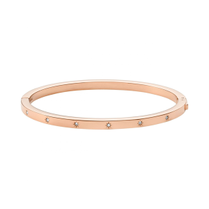 PULSEIRA FOSSIL, AÇO