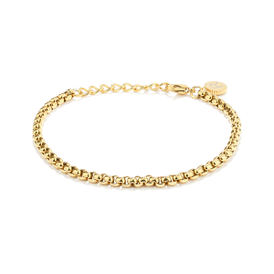 PULSEIRA RADIANT, AÇO