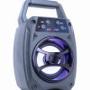 ALTAVOZ BT GEMBIRD PORTATIL CON BATERIA RECARGABLE - AUX-USB-TF