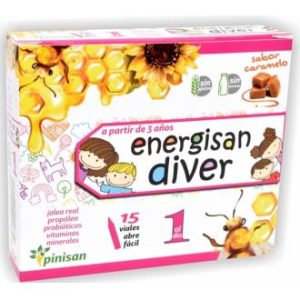 ENERGISAN DIVER 15amp.