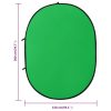 Tela fundo de estúdio oval 2-em-1 200x150 cm verde e azul - Image 8