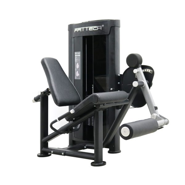 SEATED LEG EXTENSION