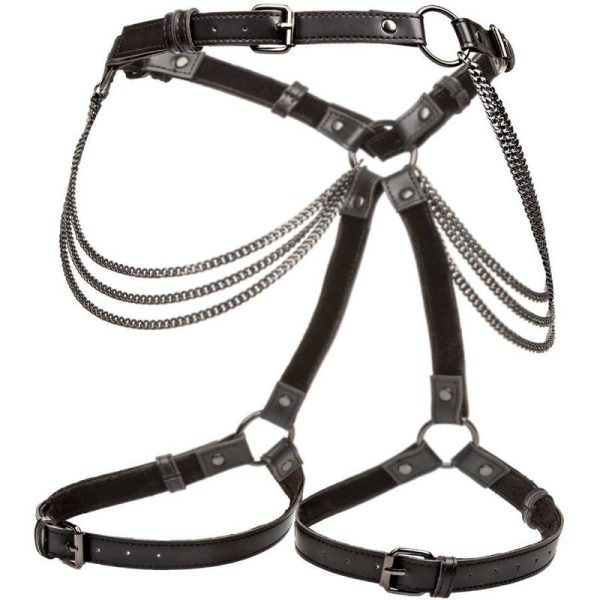 CALIFORNIA EXOTICS - EUPHORIA PLUS SIZE MULTI CHAIN ARNÊS DE COXA - Image 5