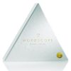 BIJOUX INDISCRETS HOROSCOPE BOX ARIES