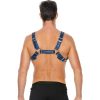 BUCKLE BULLDOG HARNESS - AZUL - Image 5