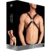 ADONIS - HIGH HALTER - NEGRO - Image 2