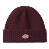 Dickies Chapéu Homem - 329423