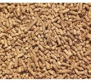 cow dung