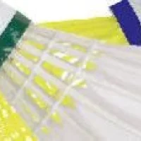 Fixed Badminton Pole QSICO