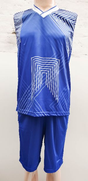 Basketball Pole