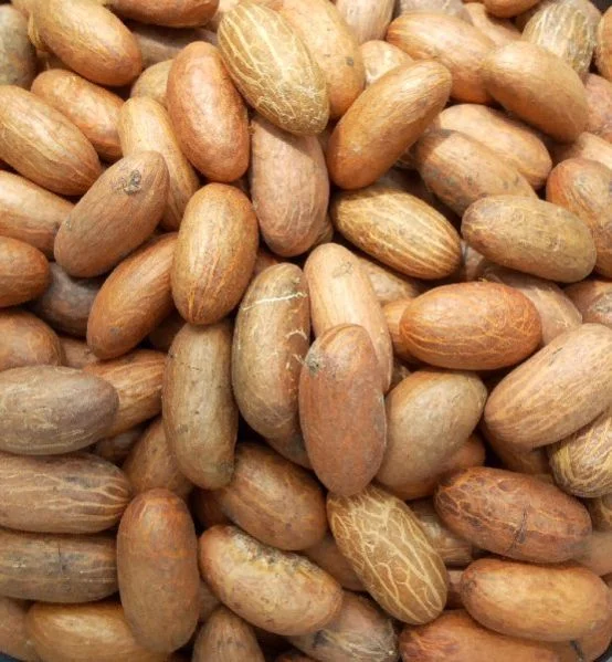 Bitter kola/Garcinia Nuts