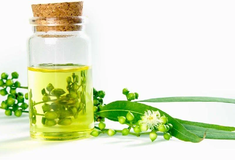 Cedarwood Organic Essential Oil (Atlas)