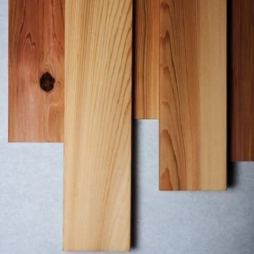 Eastern White Cedar Woods