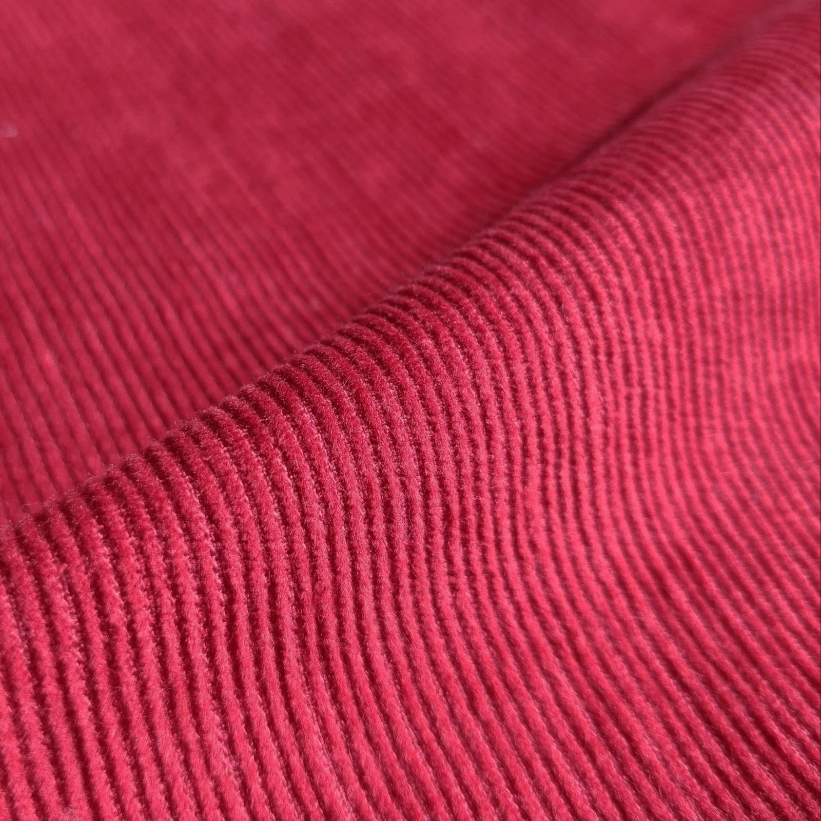 Cotton corduroy fabric