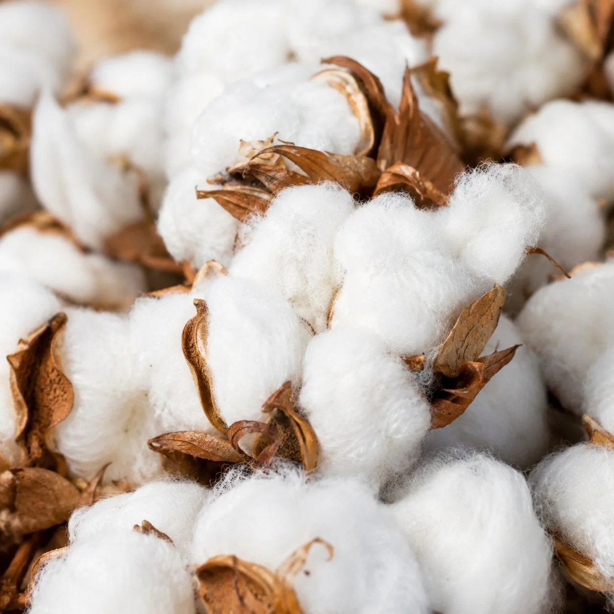 Resistant dextrin syrup,soluble corn fiber
