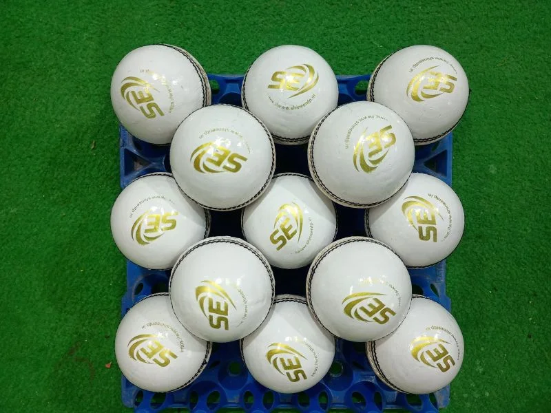 ZAP Tournament Cricket Leather Ball