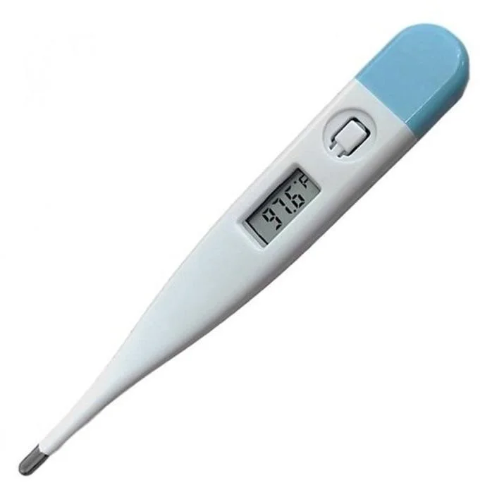 Economy Digital Thermometer