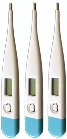 Digital Thermometer