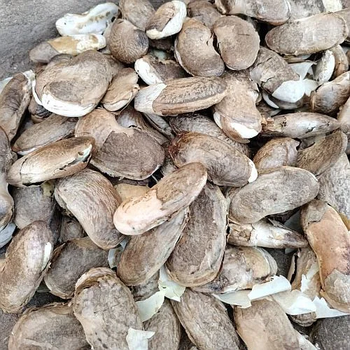 White Long Egusi Seed