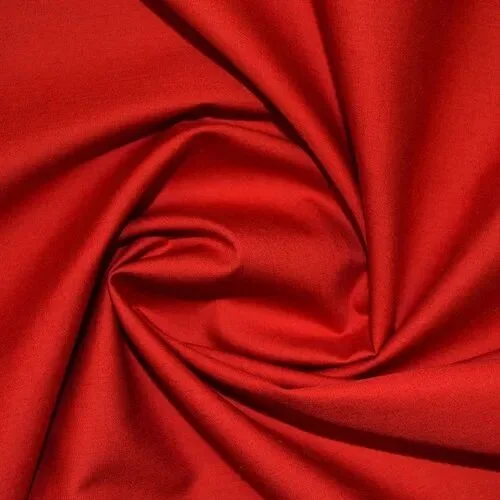 Sale Hight Quality Price cheap Galanga from Hang Xanh