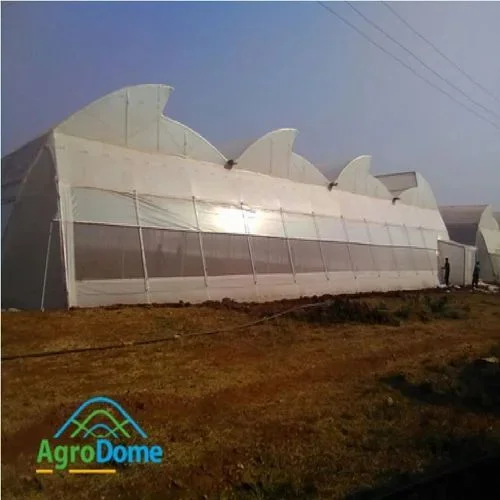 Tunnel-connected greenhouse
