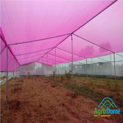200153222E hobby greenhouse