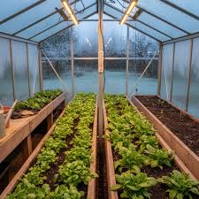PE Green House Covering