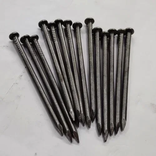 Common Iron Nail