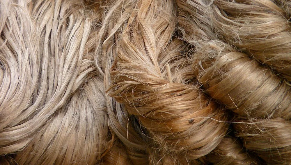 Raw Jute Fiber