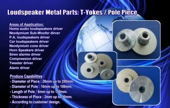 T-yoke And Washer Speakers Part