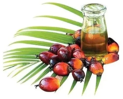 RBD Palm Olein