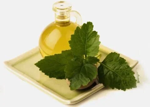 Pomace Olive Oil/Refined