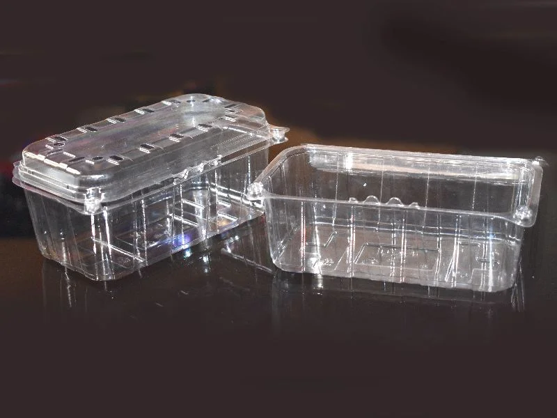 PET Plastic packaging box for car holder