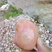 White Pebbles Stone