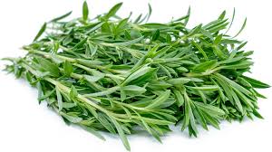 Savory,  Lavender