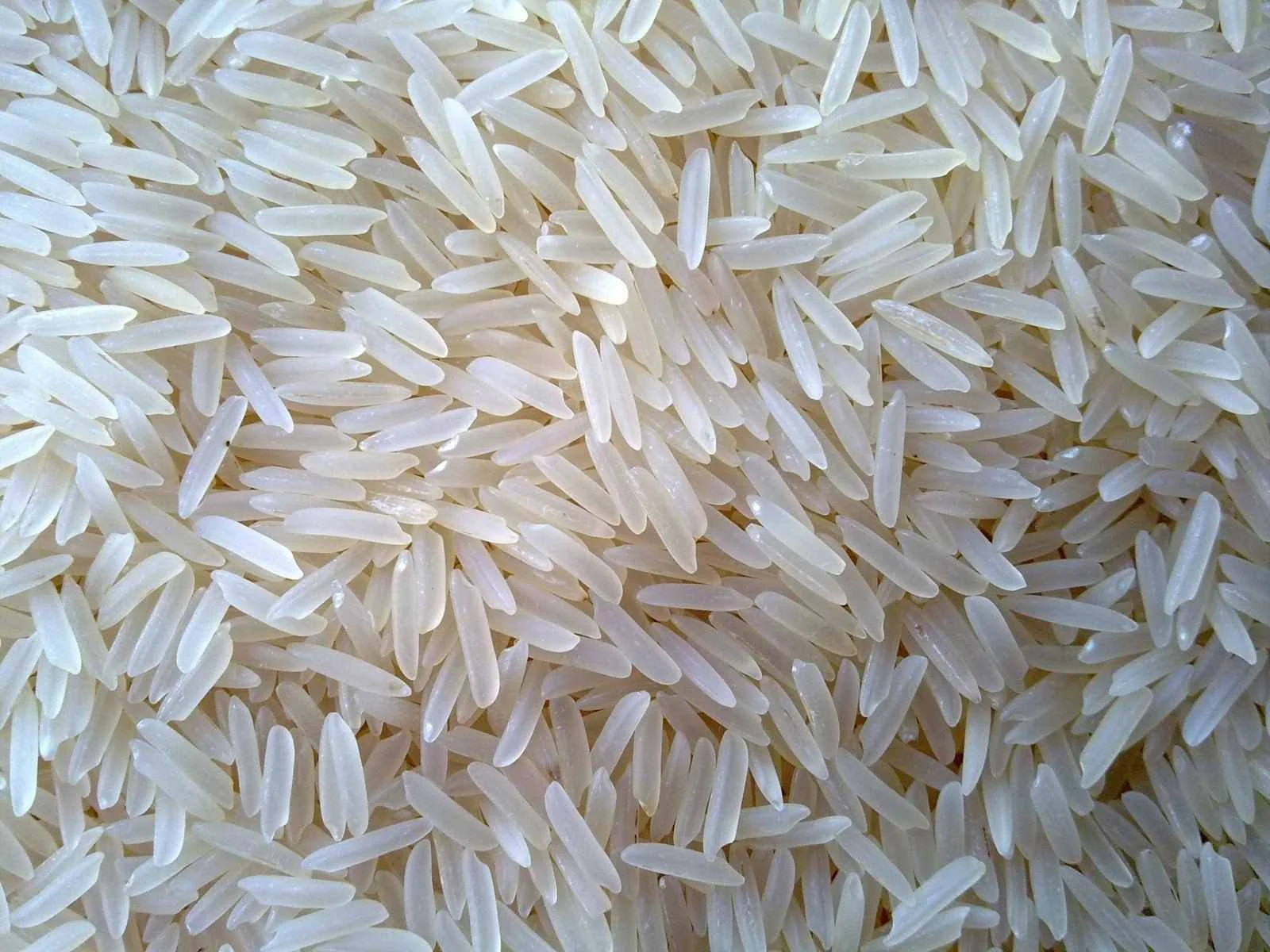 Sharbati / Creamy Sella Rice