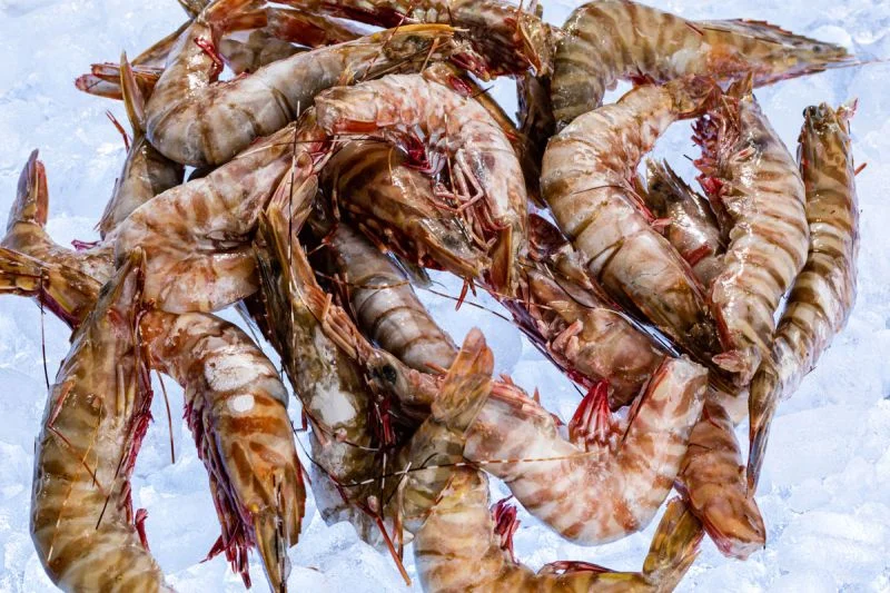 Vannamei Shrimp