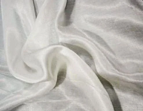 Silk Georgette 10101