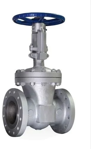 Stainless Steel Check Valve