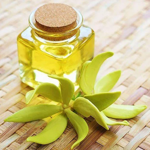 OIL
