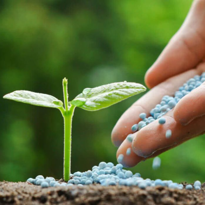 Fertilizers Exporters, Wholesaler & Manufacturer | eximnext.com