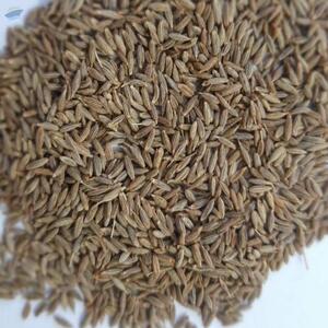 Cumin Seeds by  Spice Nest 