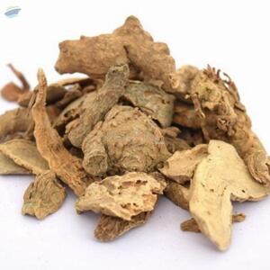 Zedoary Roots by  Spice Nest 