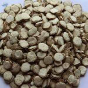 Zedoary Roots - Image 2