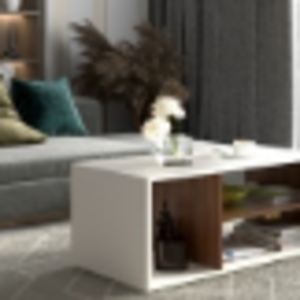 Orbitane Center Table by  S R Overseas 