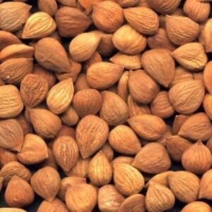 Bitter Apricot Kernels by  Saro Trading Ltd 