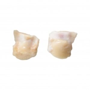Chicken Knee Soft Bone by  Saro Trading Ltd 