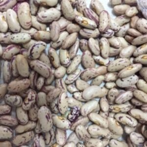 Light Speckled Kidney Beans by  Saro Trading Ltd 