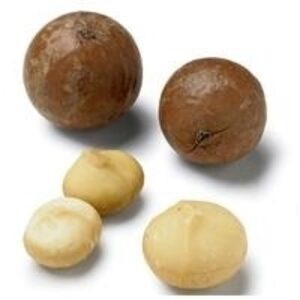 Macadamia Oil by  Go Africa Trading 